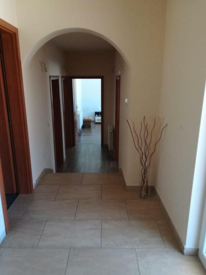 Laura Apartment Bibinje Exterior photo